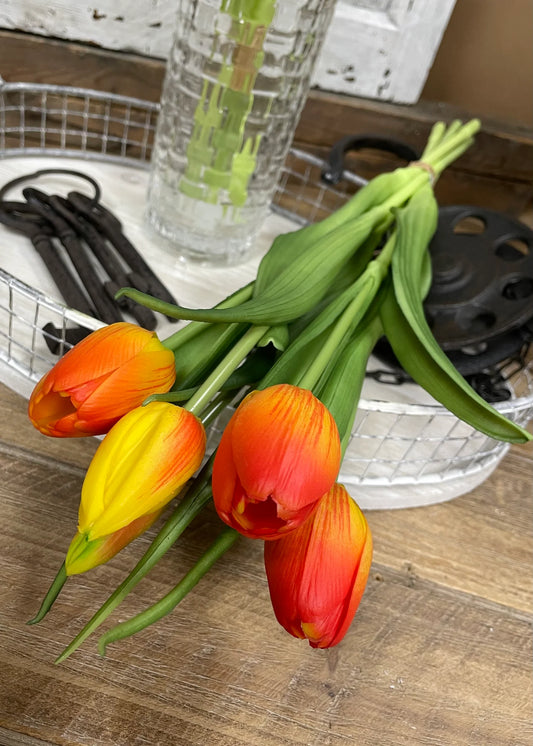 Fresh Touch Tulips -  16"