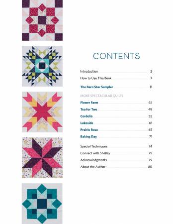 Barn Star Sampler - 20 Starry Blocks and 7 Spectacular Quilts