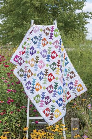 Barn Star Sampler - 20 Starry Blocks and 7 Spectacular Quilts