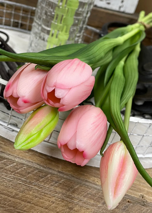 Fresh Touch Tulips -  16"