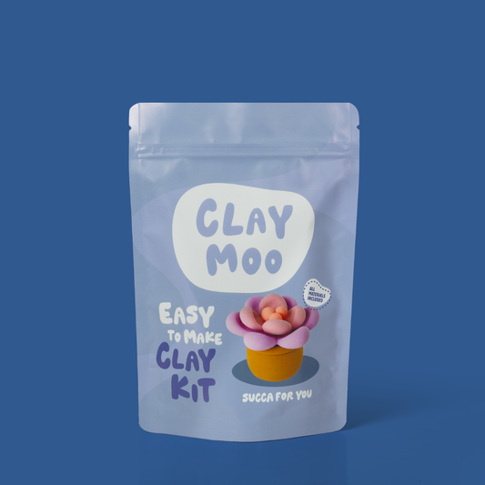 Succulent Clay Crafting Kit
