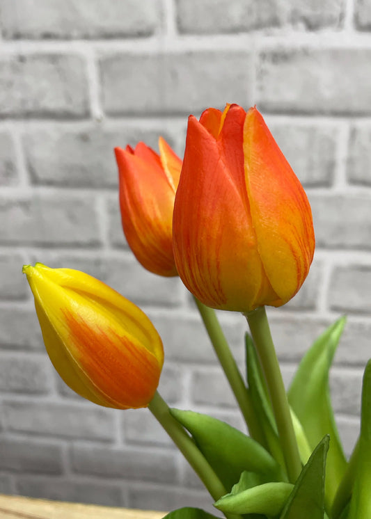 Fresh Touch Tulips -  10"