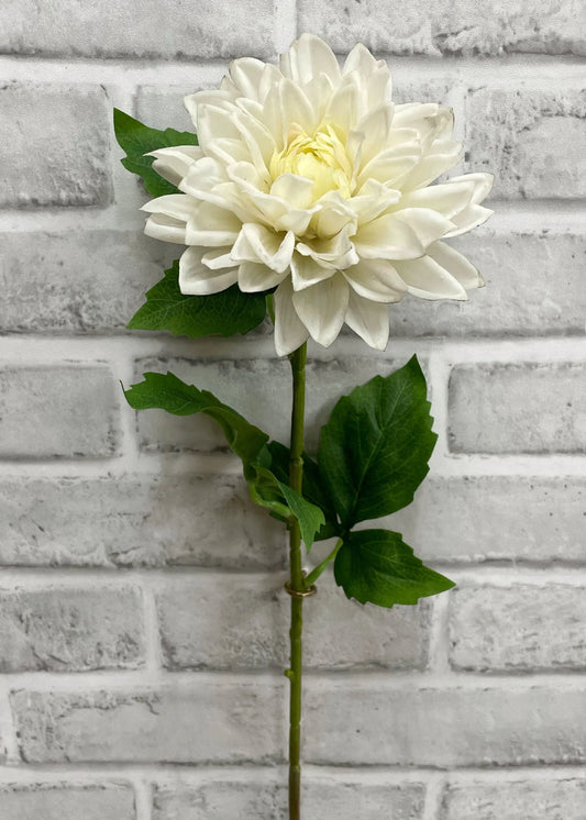 Dahlia Stem - Fresh Touch Floral