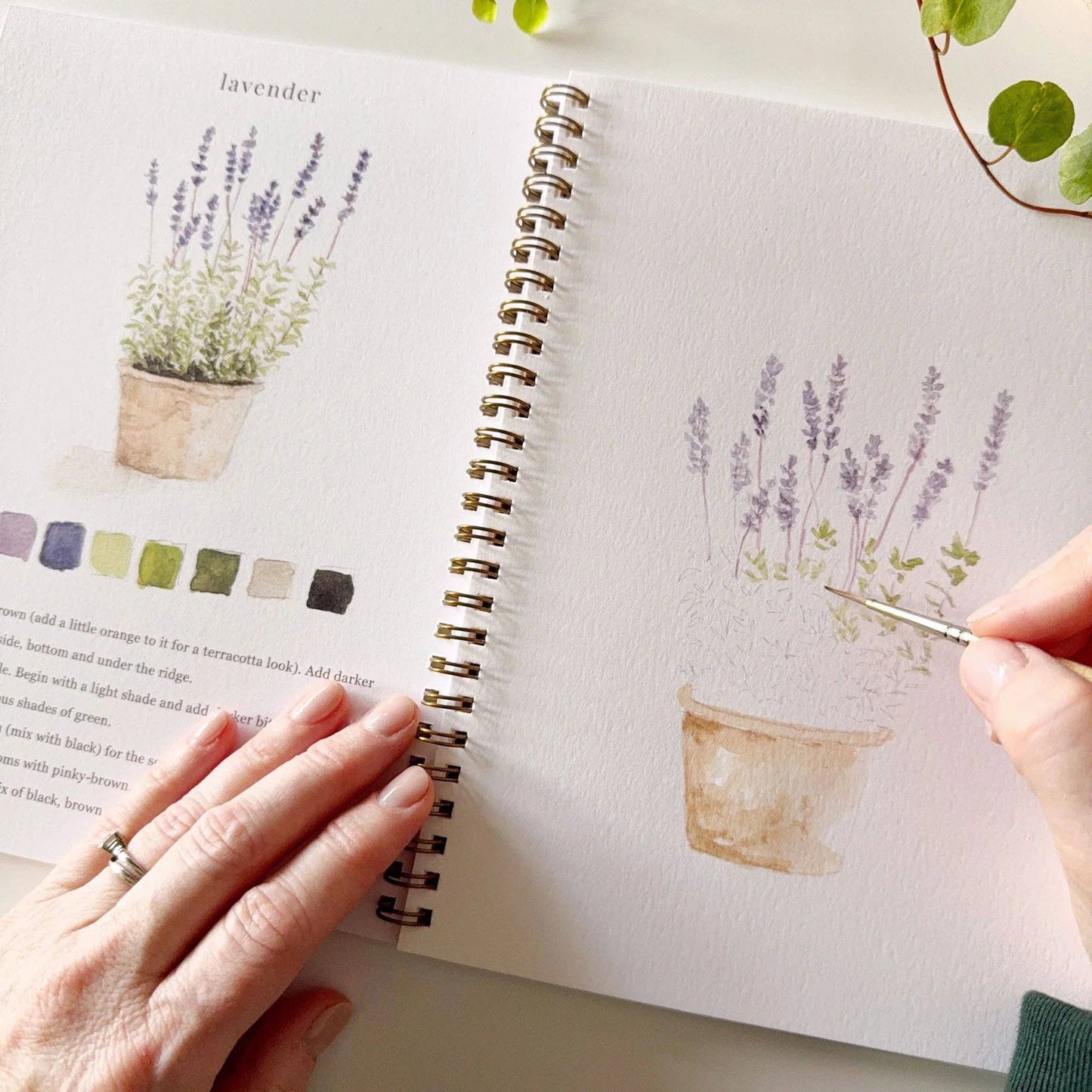 Garden Watercolour Workbook