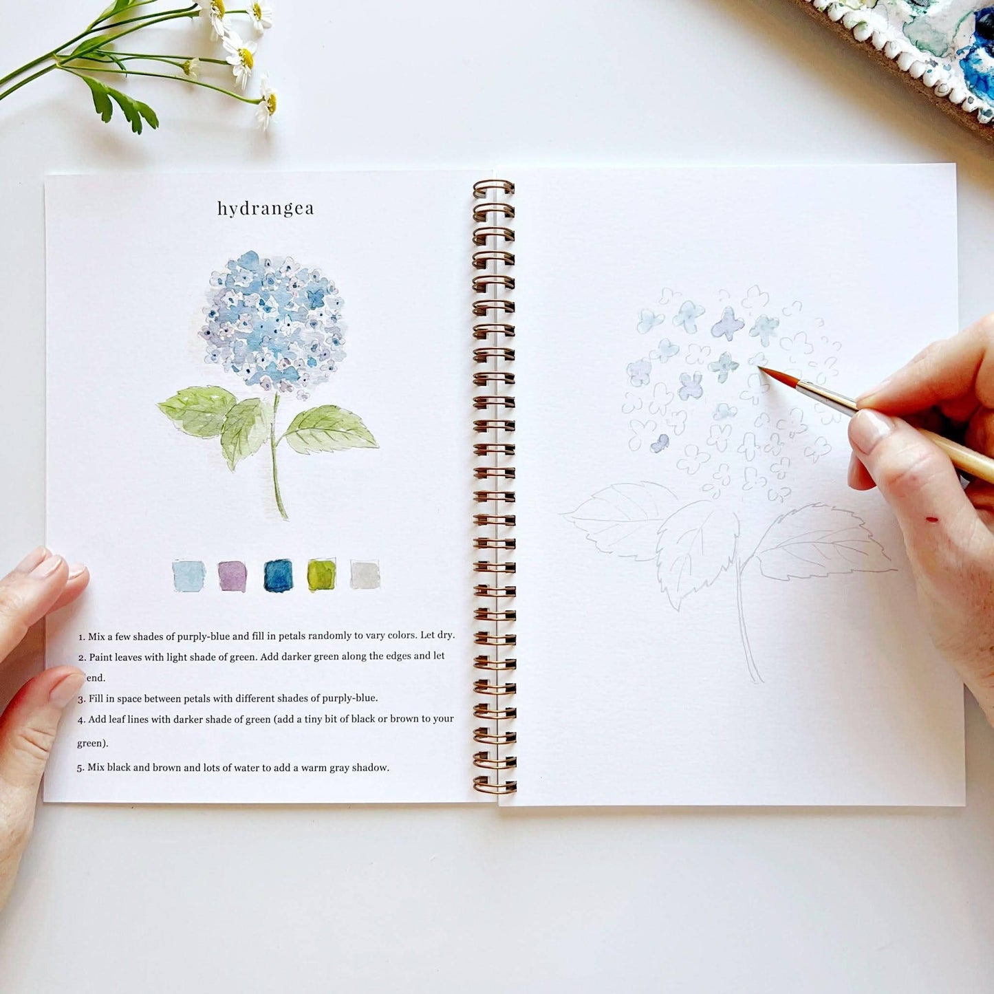 Flowers Watercolour Workbook