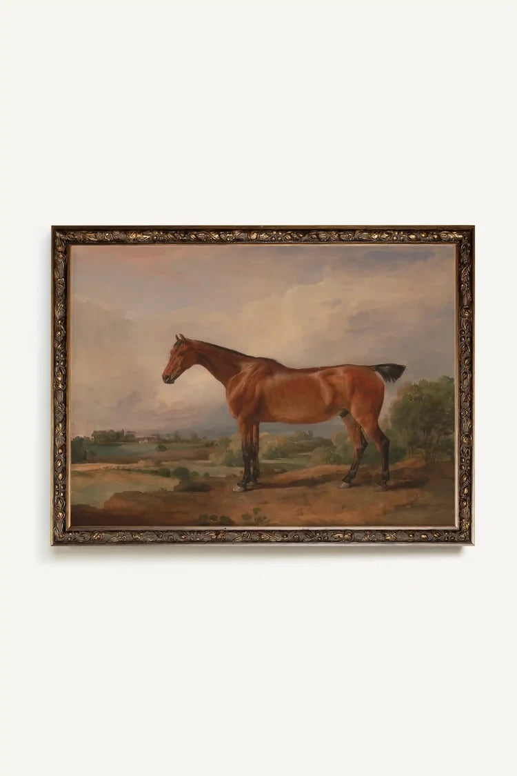 Equestrian Majesty / 16x12
